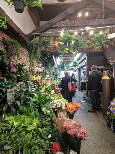 Florist «Brattle Square Florist», reviews and photos, 31 Brattle St, Cambridge, MA 02138, USA