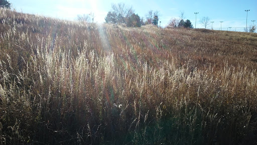 Park «Jessica Ridgeway Memorial Park», reviews and photos, 10765 Moore St, Westminster, CO 80021, USA