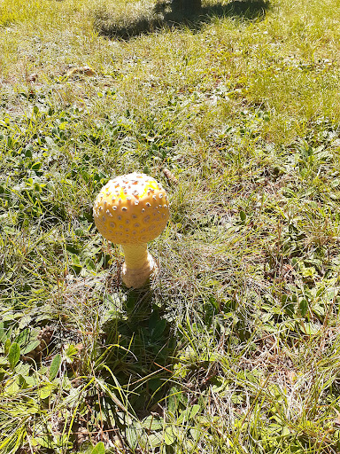 Drive-in Movie Theater «Circle Drive-In Theatre​», reviews and photos, 1911 Scranton Carbondale Hwy, Scranton, PA 18508, USA