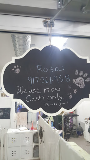 Pet Supply Store «NYC Pet», reviews and photos, 317 Knickerbocker Ave, Brooklyn, NY 11237, USA