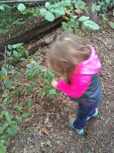 Park «Jaycee Park», reviews and photos, 1681 Airport Rd, Greencastle, IN 46135, USA