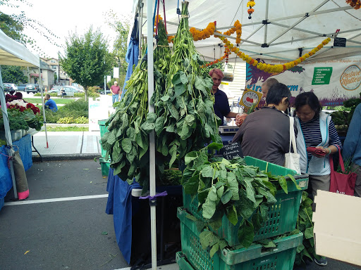 Non-Profit Organization «University Heights Center», reviews and photos, 5031 University Way NE, Seattle, WA 98105, USA