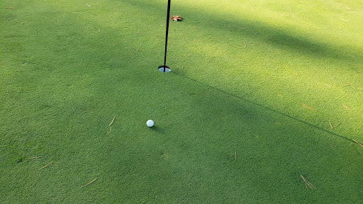 Golf Course «Lake of the Woods Golf Course», reviews and photos, 405 N Lake of the Woods Rd, Mahomet, IL 61853, USA