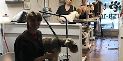 Head 2 Tails Professional Pet Salon And Spa