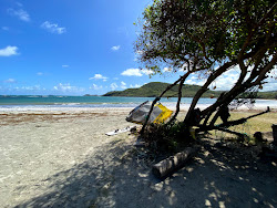 Plantation beach'in fotoğrafı uçurumlarla desteklenmiş