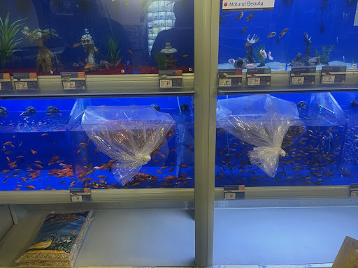 Pet Supply Store «PetSmart», reviews and photos, 14025 SW 88th St, Miami, FL 33186, USA