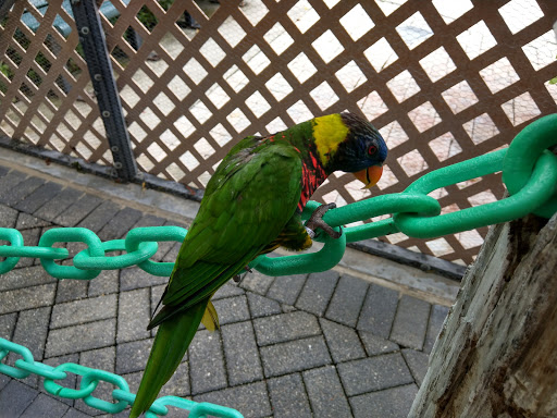 Tourist Attraction «Butterfly World», reviews and photos, 3600 W Sample Rd, Coconut Creek, FL 33073, USA