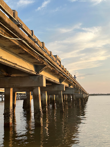 Amelia Island State Park