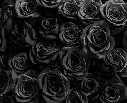 Black Rose Boudoir