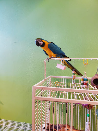 Pet Store «The Pet Works», reviews and photos, 407 4th Ave E, Olympia, WA 98501, USA