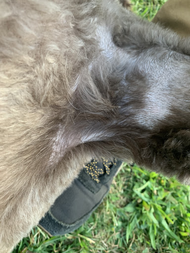 Pet Supply Store «Petco Animal Supplies», reviews and photos, 1333 Centennial Ave, Piscataway Township, NJ 08854, USA