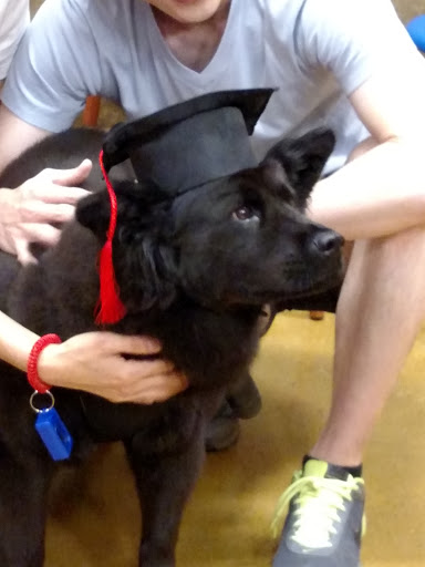 Pet Supply Store «PetSmart», reviews and photos, 131 Town Center Rd, King of Prussia, PA 19406, USA