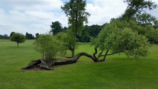 Golf Club «Tyrone Hills Golf Club», reviews and photos, 8449 N Old US Hwy 23, Fenton, MI 48430, USA