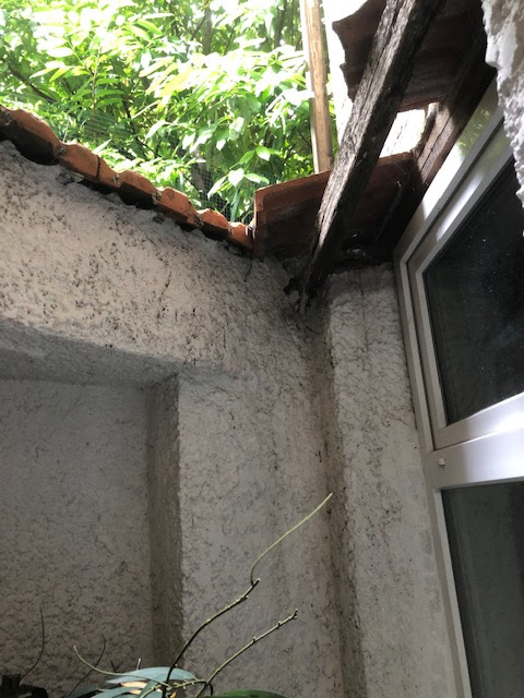 Photo n° 3 de l'avis de Odile.H fait le 09/07/2021 à 16:13