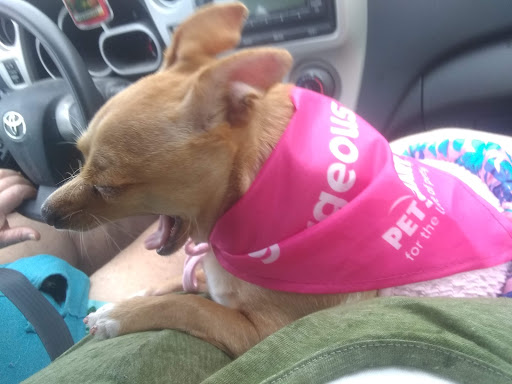 Pet Supply Store «PetSmart», reviews and photos, 640 W 300 N, Warsaw, IN 46582, USA