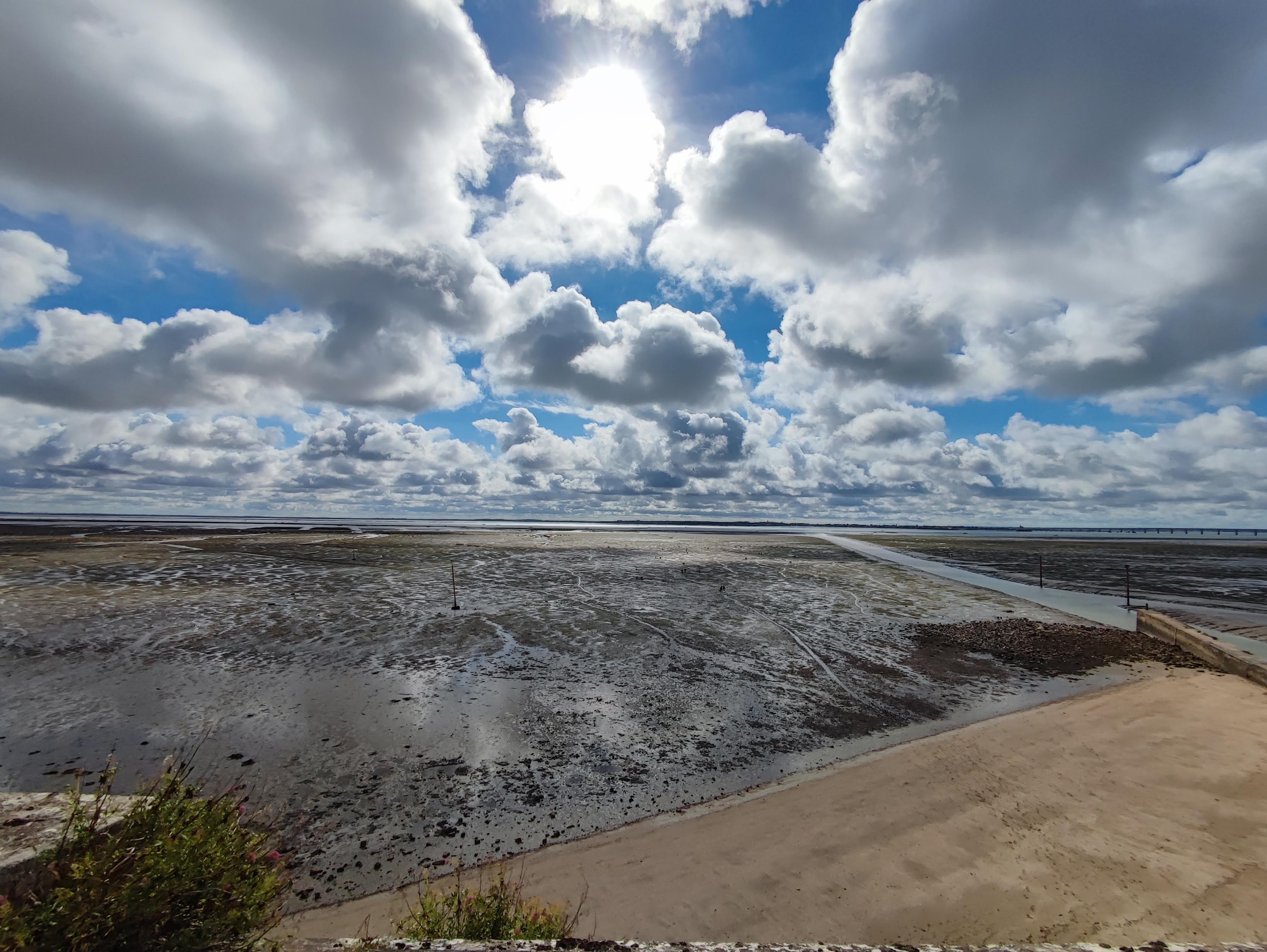 Photo n° 1 de l'avis de Rougier.� fait le 03/09/2023 à 09:15