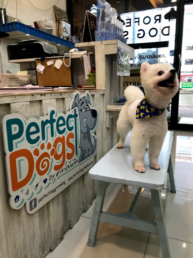 Perfectdog petshop and school
