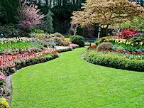 Stone & Landscaping Masters - Car repair in , Denton - Rated 5.0/5