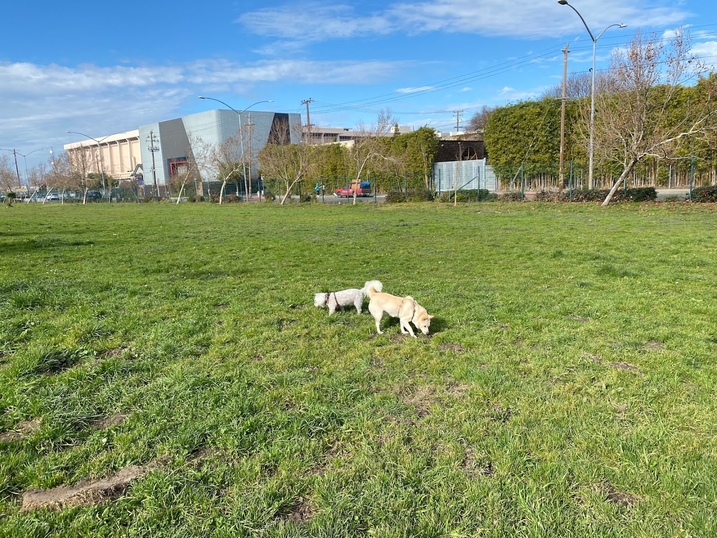 Lower Bottoms Park