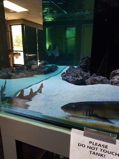 Aquarium «Aquatica», reviews and photos, 800 Clanton Rd H, Charlotte, NC 28117, USA