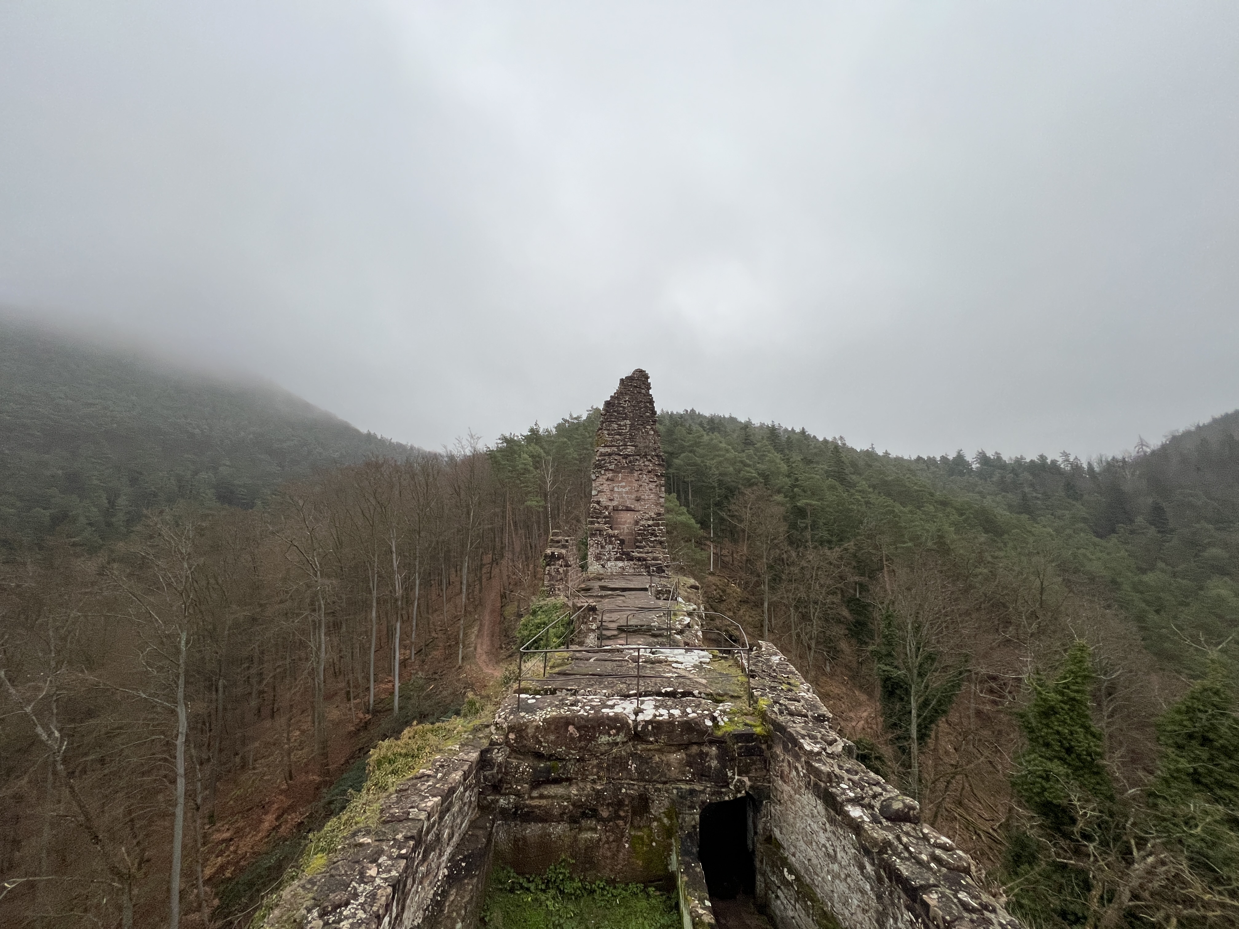 Photo n° 3 de l'avis de Nik. fait le 23/12/2023 à 12:25