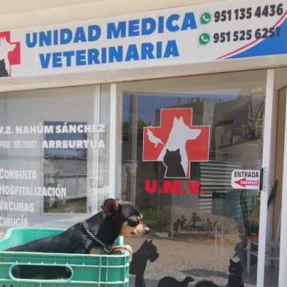 Unidad Medíca Veterinaria Mvz. Nahúm Sánchez Arreortua