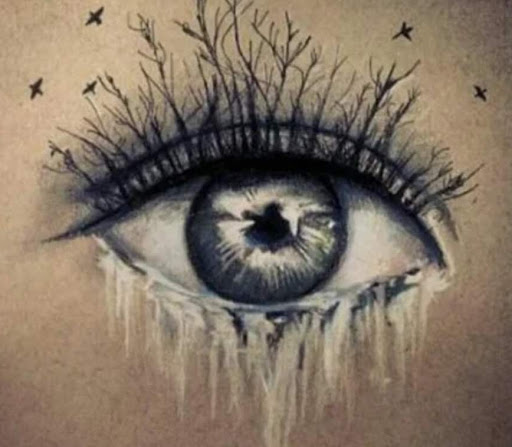 Tattoo Shop «Wicked Parrot Tattoo», reviews and photos, 1085 Colington Rd, Kill Devil Hills, NC 27948, USA