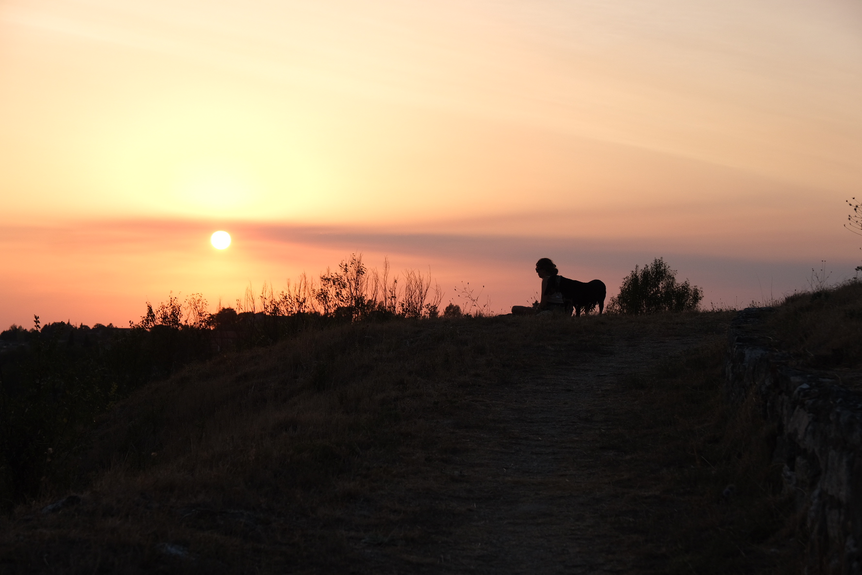 Photo n° 2 de l'avis de Remy.e fait le 01/09/2022 à 15:39