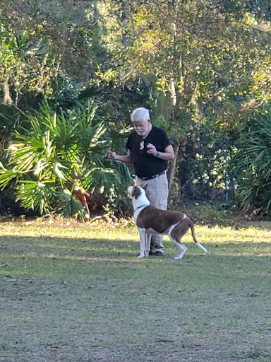 Park «Northeast Park and Paw Place», reviews and photos, 4630 E Bay Dr, Clearwater, FL 33764, USA