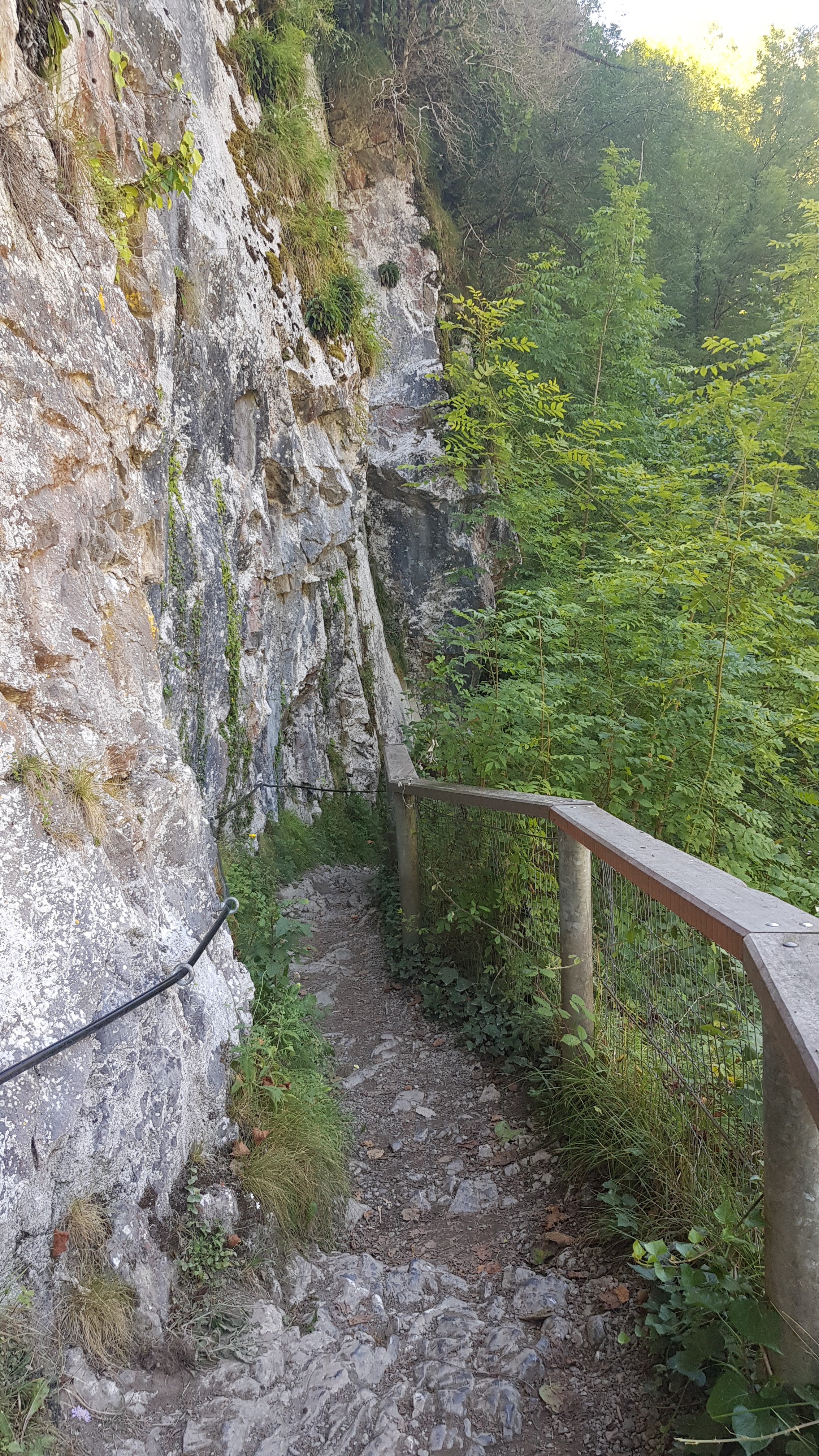 Photo n° 11 de l'avis de Ponstronic. fait le 11/08/2019 à 07:24
