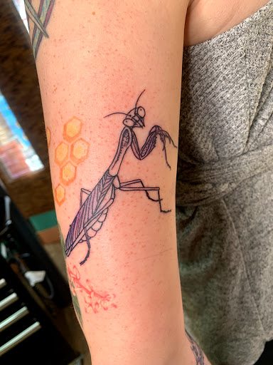 Explore animaniacs tattoo ideas, creative tattoo ideas in Lincoln City, available at Black N Blue Tattoo & Skate Shop