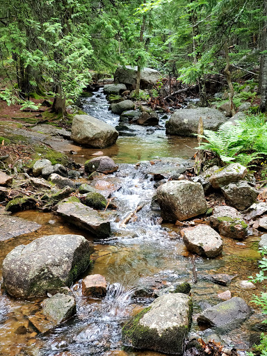 Sightseeing Tour Agency «Acadia National Park Tours», reviews and photos, 53 Main St, Bar Harbor, ME 04609, USA