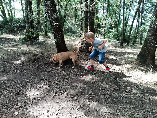 Sociedad Protectora De Animales Y Plantas De Lugo