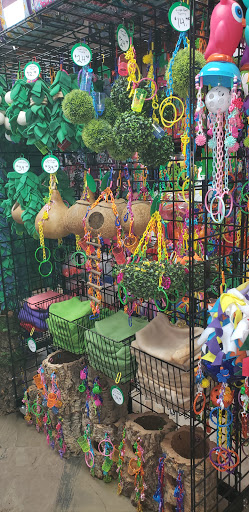 Pet Store «The Pet Glider, Glider World», reviews and photos, 11407 Craighead Dr, Houston, TX 77025, USA