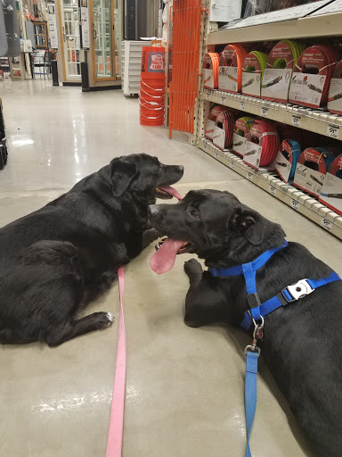 Home Improvement Store «The Home Depot», reviews and photos, 1624 E 165th St, Hammond, IN 46320, USA