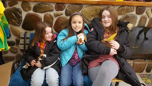 Pet Store «Tanks Pet Supply», reviews and photos, 628 S Main St, Princeton, IL 61356, USA