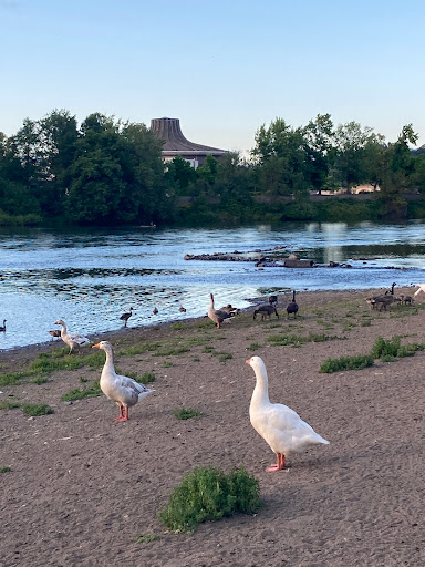 Shopping Mall «Valley River Center», reviews and photos, 293 Valley River Center, Eugene, OR 97401, USA