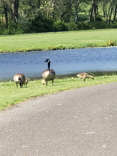 Golf Course «Cedar Creek Golf Course», reviews and photos, 5025 Bill Zimmerman Jr Way, Bayville, NJ 08721, USA