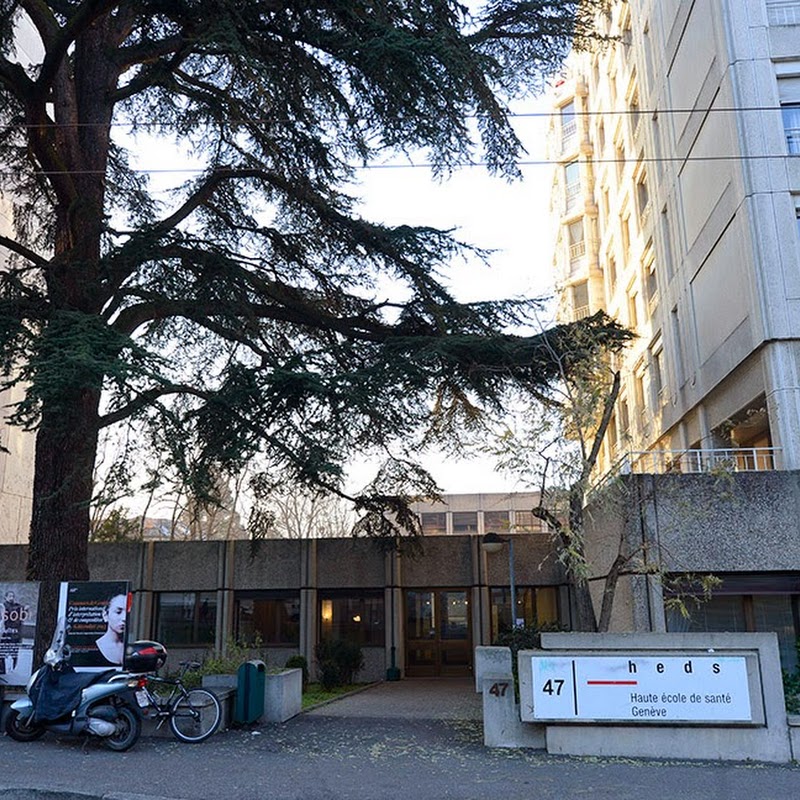 Geneva School of Health Sciences (HEdS - Geneva)