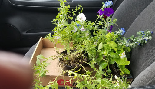 Hardware Store «Ace Hardware», reviews and photos, 600 US-31 BYP, Bowling Green, KY 42101, USA