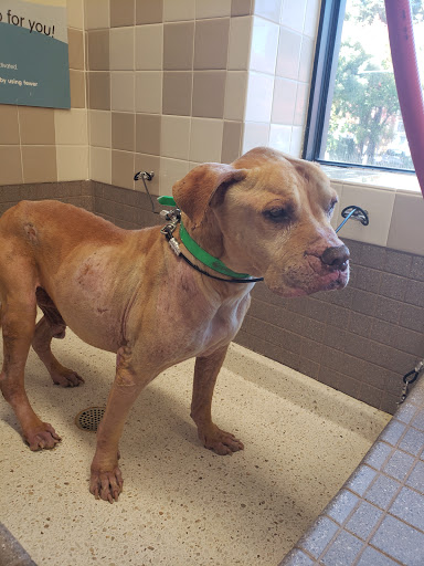 Pet Supply Store «Pet Food Express», reviews and photos, 500 Center Ave, Martinez, CA 94553, USA