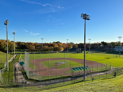 Dominico Field at Christie Pits
