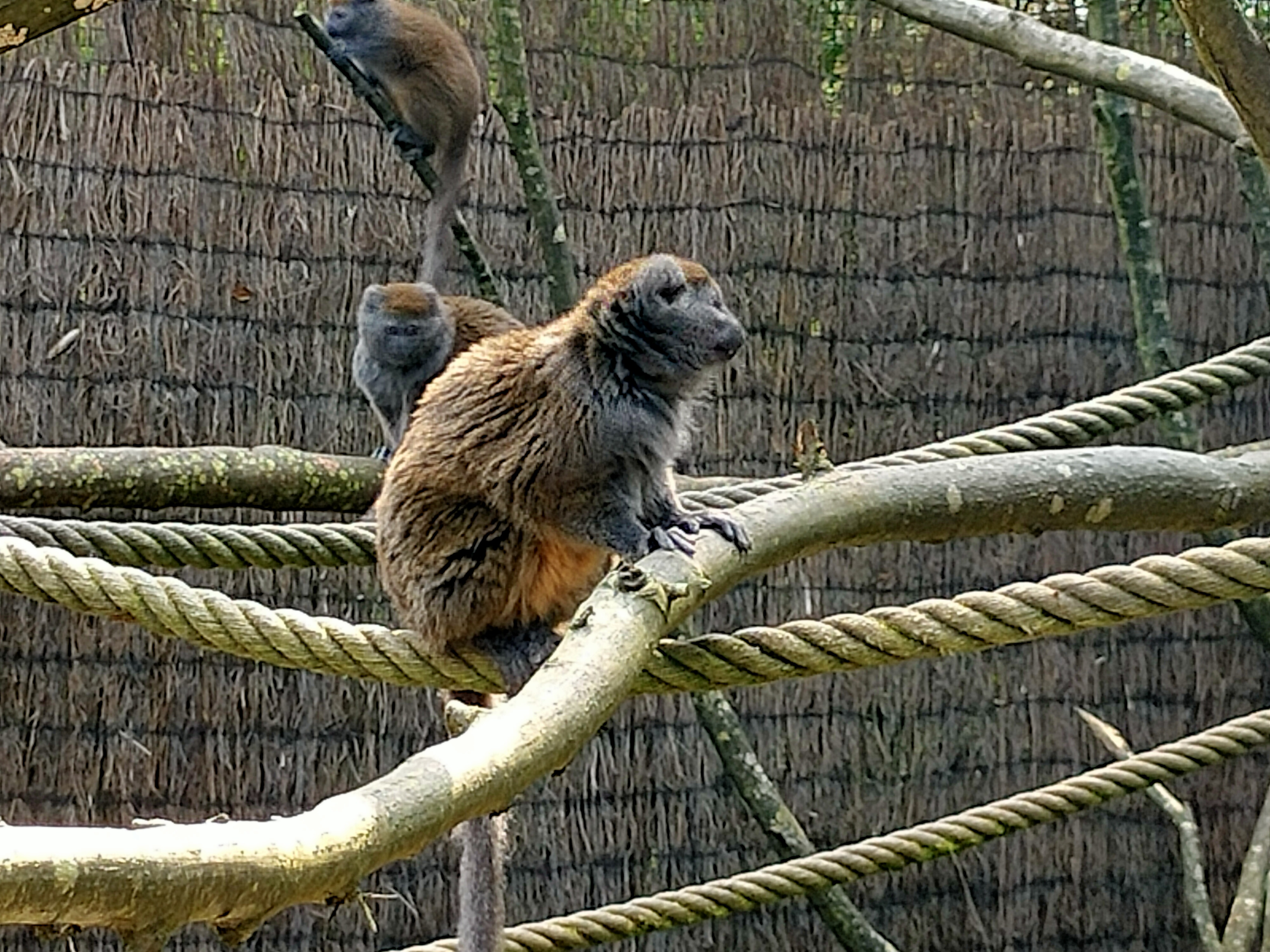 Photo n° 10 de l'avis de Eric.l fait le 16/04/2023 à 16:52