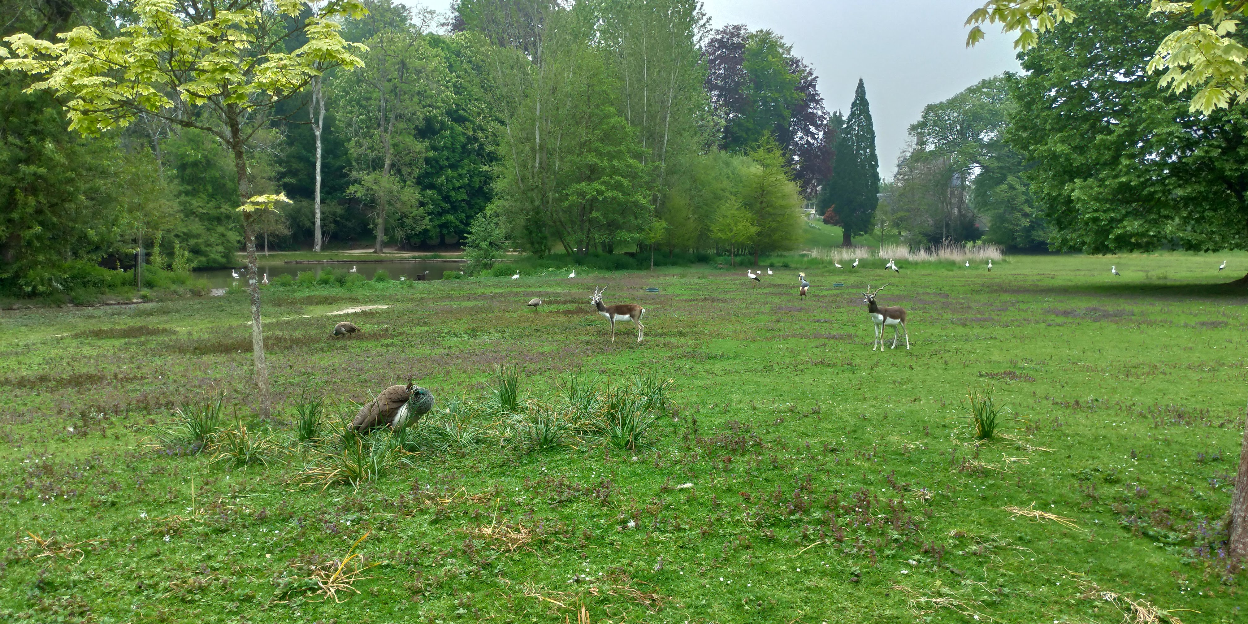 Photo n° 31 de l'avis de Maxime.E fait le 19/05/2019 à 20:15