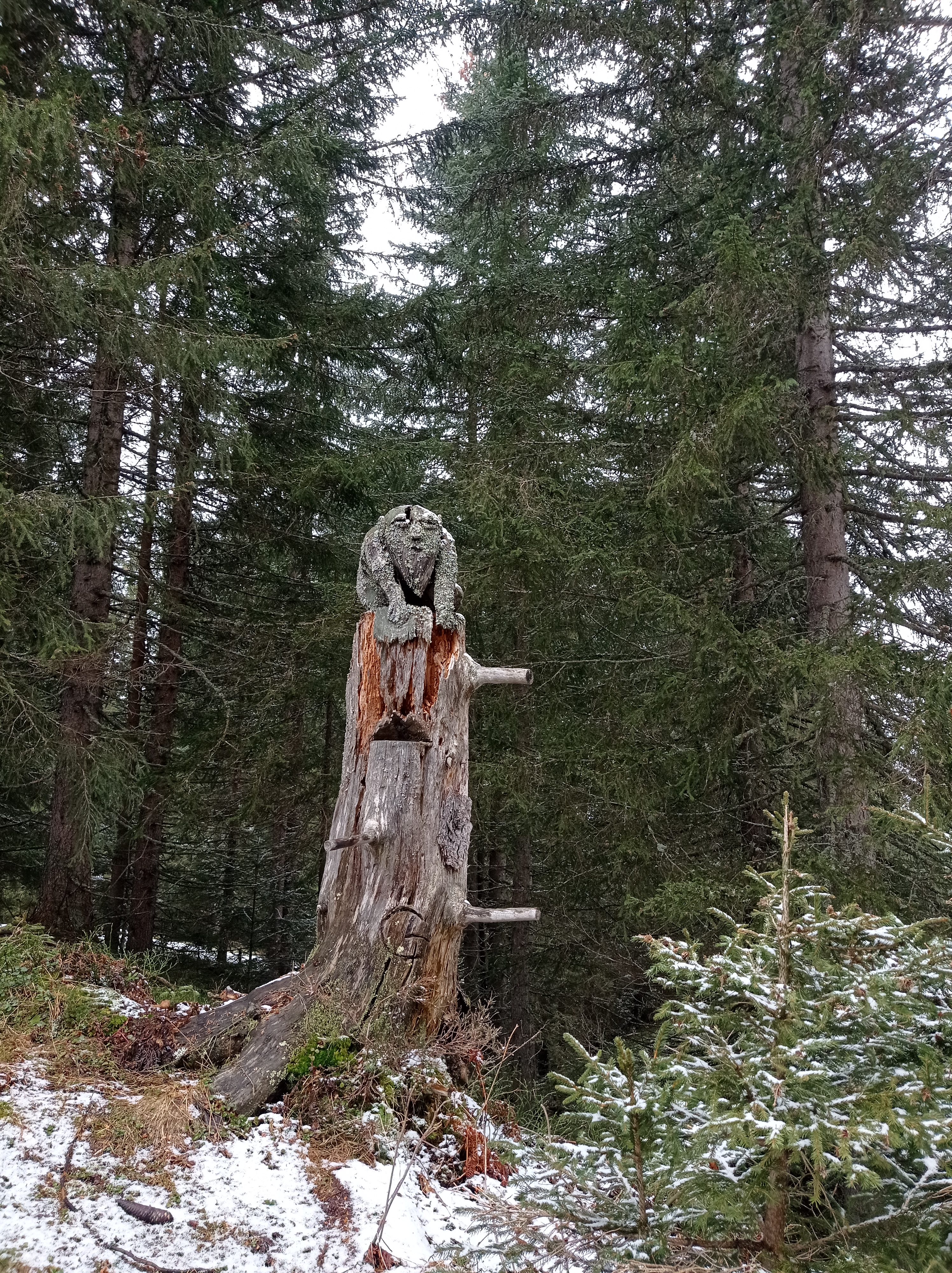 Photo n° 2 de l'avis de Emilie.l fait le 09/03/2024 à 22:50