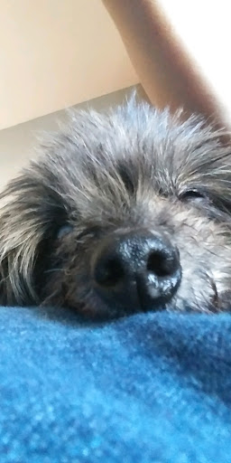 Pet Supply Store «Petco Animal Supplies», reviews and photos, 14051 Aldrich Ave S, Burnsville, MN 55337, USA