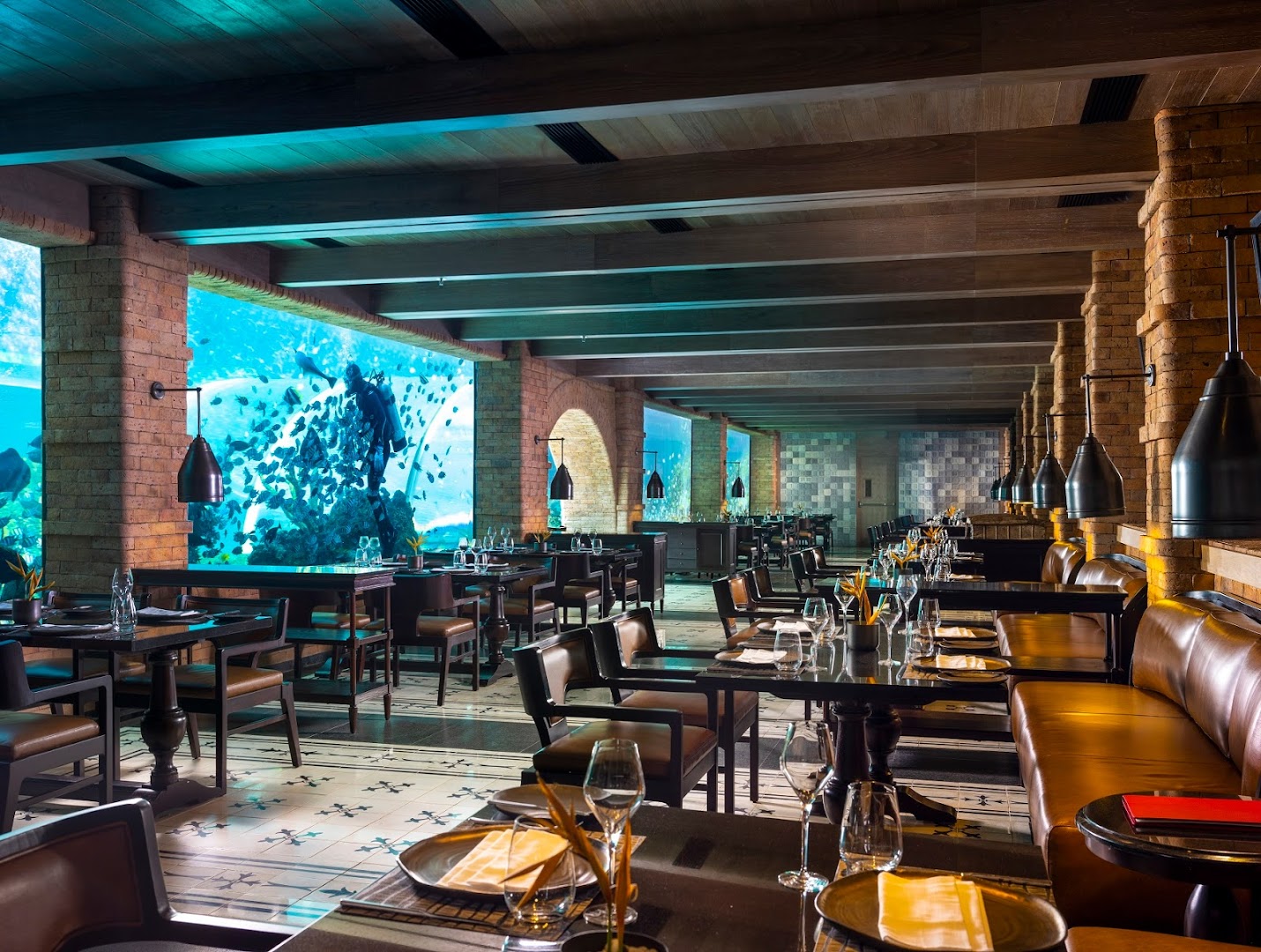 Gambar Koral: Baliâ€™s First Aquarium Restaurant
