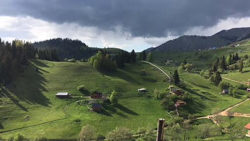 Park «Glen Island Park», reviews and photos, Weyman Ave, New Rochelle, NY 10805, USA