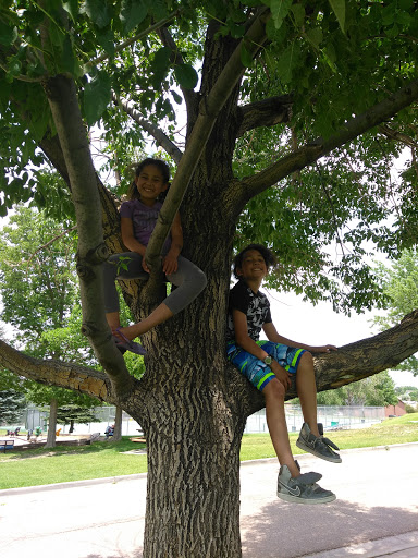 Community Center «Widefield Community Center», reviews and photos, 705 Aspen Dr, Colorado Springs, CO 80911, USA