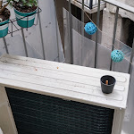 Photo n°1 de l'avis de Simona.c fait le 11/03/2022 à 11:11 sur le  Blunotte Piazza Castello à Turin